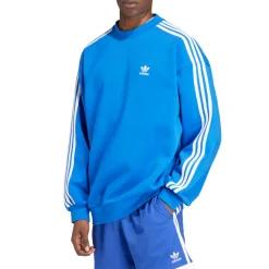 Adicolor Oversized Crew Neck Sweatshirt