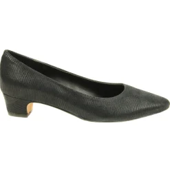 Astyr Pointed Toe Block Heel Pumps