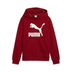 Classics Logo Pullover Hoodie (Youth)