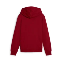 Classics Logo Pullover Hoodie (Youth)