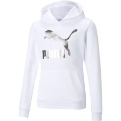 Classics Metallic Logo Pullover Hoodie (Youth)