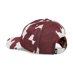 Clydes Closet Dad Cap